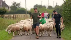 Les agités du bocage