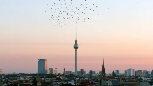 Les ailes de Berlin : Quand passent les étourneaux