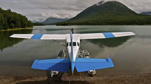 Les ailes de l'Alaska Face au danger