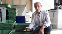 Les algues : Des pouvoirs insoupçonnés