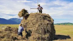 Les Alpes bavaroises : Entre lacs et collines