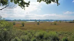 Les Alpes bavaroises : Entre lacs et collines