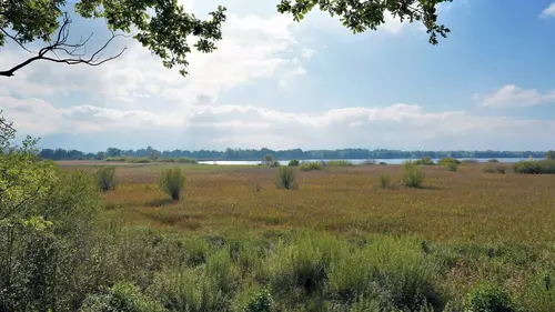 Les Alpes bavaroises : Entre lacs et collines