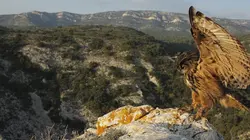 Les Alpes, les sommets de l'extrême