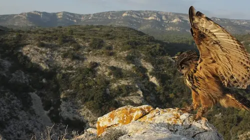 Les Alpes, les sommets de l'extrême