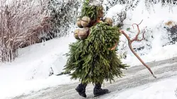 Visuel de Les Alpes Suisses : Entre traditions et superstitions