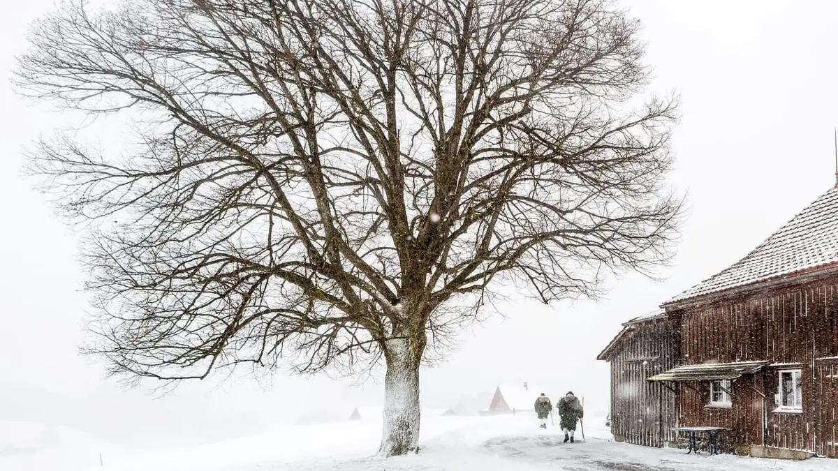 Les Alpes Suisses : Entre traditions et superstitions
