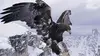 2000 • Les Alpes, terres sauvages au coeur de l'Europe