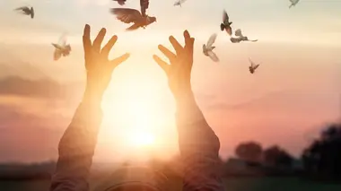 Miou Miou et les clowns Z'hôpitaux