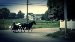 Les Amish, la loi de l'omertà