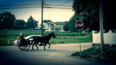 Les Amish, la loi de l'omertà