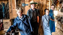 Les Amish, la vie au passé