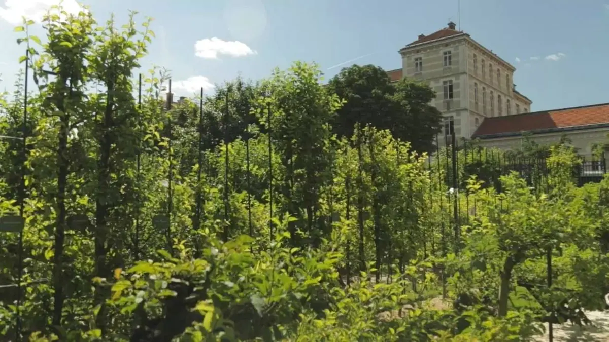Les amoureux du Luxembourg