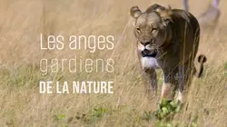 Les anges gardiens de la nature