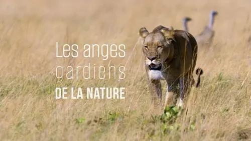 Les anges gardiens de la nature S02E03 Jeu de séduction