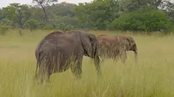 Les anges gardiens de la nature
