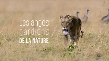 La hyène part en chasse