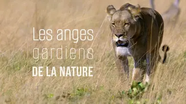 Les anges gardiens de la nature S03E02 Carnivores en danger