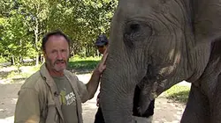 Les anges gardiens du monde animal S01E01 Dans le secret des jungles