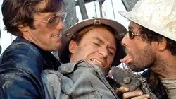 Visuel de Les anges sauvages