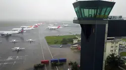 Les animaux de l'aéroport