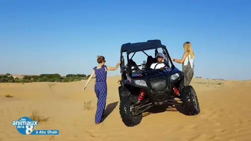 Les animaux de la 8 Escapade animalière dans le Cotentin