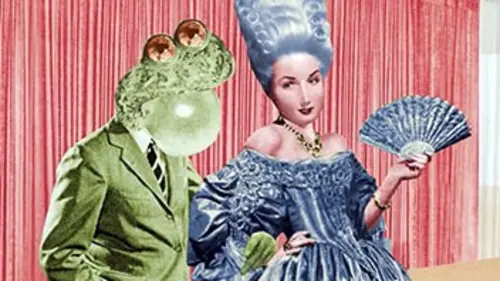 Les animaux domestiques Le crapaud