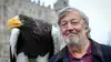 Les animaux fantastiques : aux origines du mythe