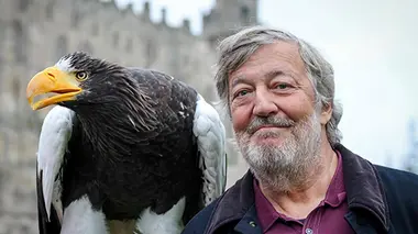 Les animaux fantastiques : aux origines du mythe