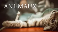 Les animaux hybrides de compagnie