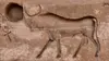 2018 • Les animaux sacrés de l'Egypte ancienne