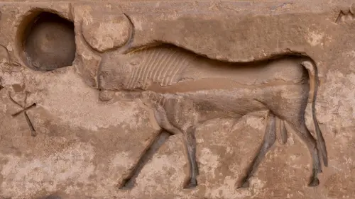 Les animaux sacrés de l'Egypte ancienne