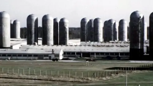 Les animaux très politiques de la RDA