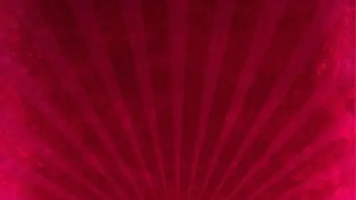 Les années fac N°15 à 24