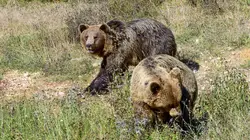 Les Apennins, paradis naturels italiens