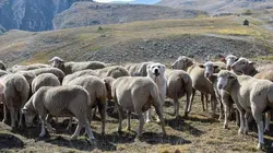 Les Apennins, paradis naturels italiens