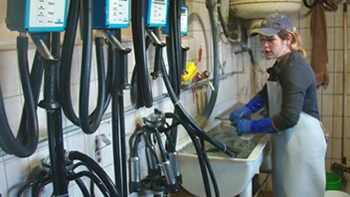 Les apprentis E01 Les défis d'une vocation