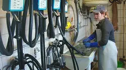 Visuel de Les apprentis