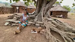 Les arbres dieux des hommes pierres