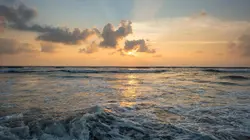 Les archives de la mer, hommage à Germaine Dulac