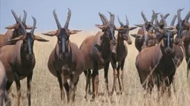 Le bruit et la fureur