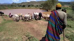 Les artisans de la nature