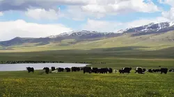 Les artisans de la nature Bergers au Kirghizstan