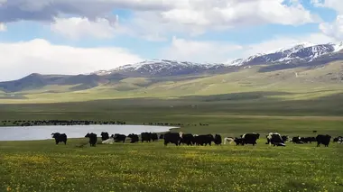 Bergers au Kirghizstan