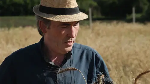 Les artisans du bon pain L'or blond de Jean-Jacques Jacob