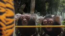 Les as de la jungle à la rescousse S03E24 L'enrhumé des douze singes