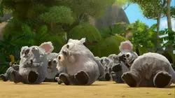 Visuel de Les as de la jungle à la rescousse