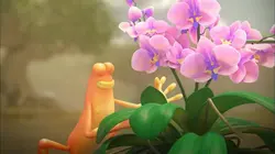 Les as de la jungle à la rescousse S02E42 Cap ou pas cap