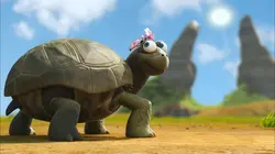 Les as de la jungle à la rescousse S01E48 Mariage et plaquage