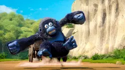 Les as de la jungle à la rescousse S03E45 Tape, Miguel tape !